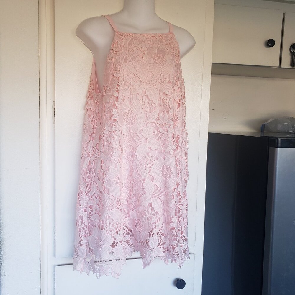 Alfani Peach lace Dress Size 6